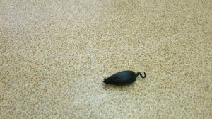 бегающая мышка