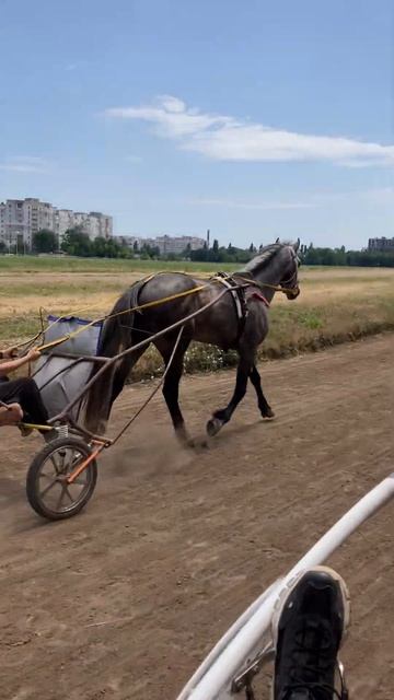 Работа тортом. Жбанчик и Маня смотреть онлайн
