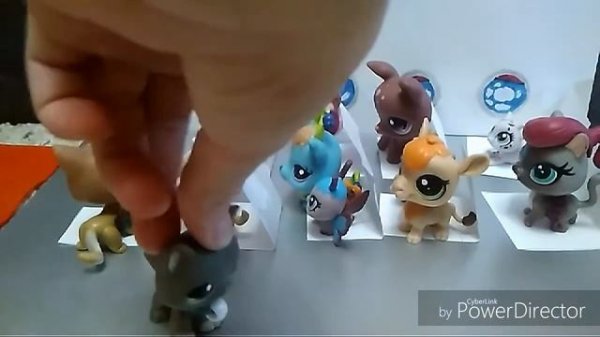 ЛПС в самолёте