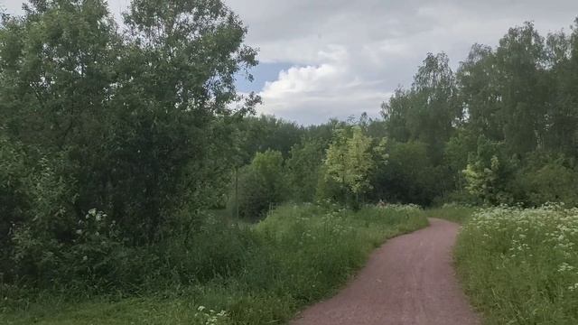 Пруд Лось с дождем смотреть онлайн