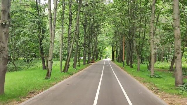 Тренировка в парке, знаки на пути. смотреть онлайн