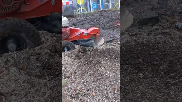 stump grinding смотреть онлайн