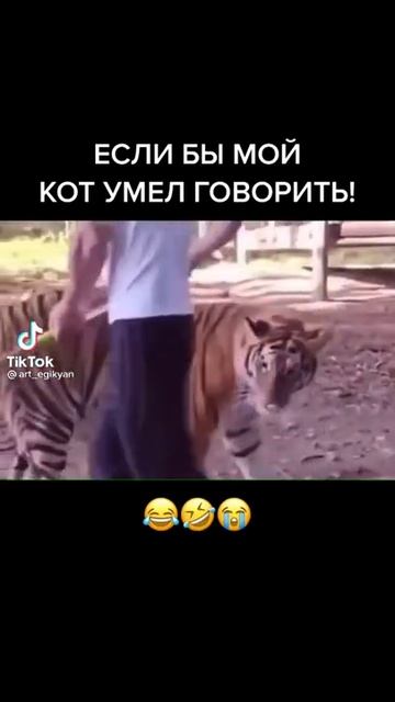 Мужик дал леща тигру прикол смотреть онлайн