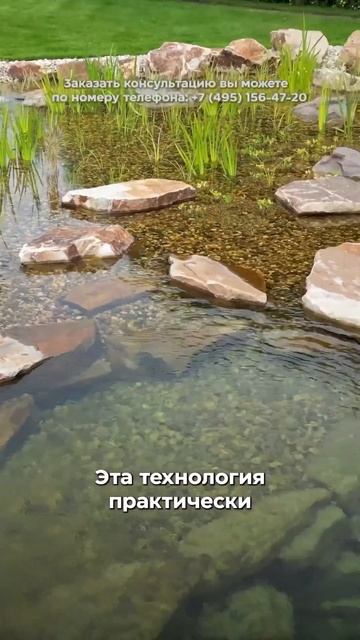 Какой фильтр установить в пруду? смотреть онлайн