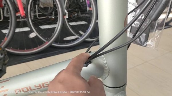 Polygon Zeta Fitte new