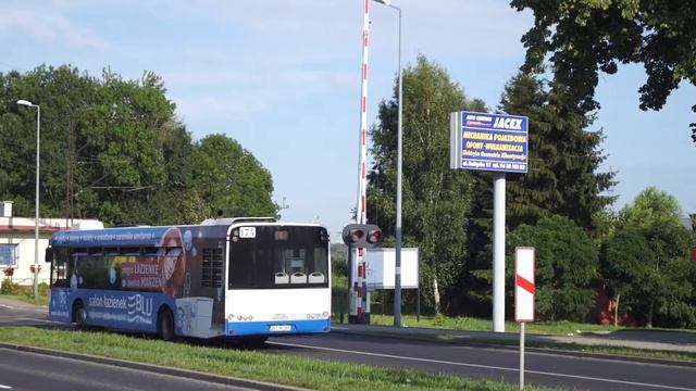 Solaris Urbino 12 #174 KM Kołobrzeg смотреть онлайн