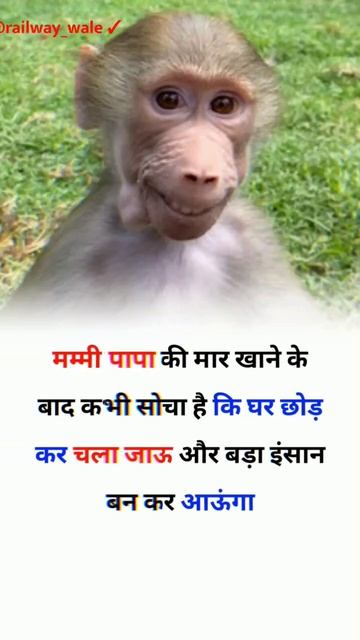 अपना जवाब कमेंट बॉक्स में बताएं#shorts #facts #railwaywale смотреть онлайн