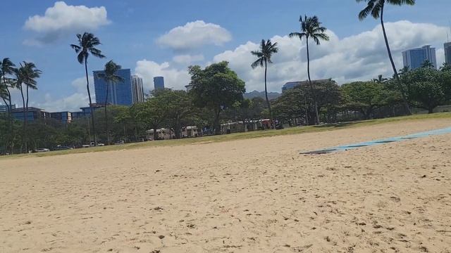 Ядовитый португальский кораблик в Гонолулу обнаружили очаровательные девушки смотреть онлайн