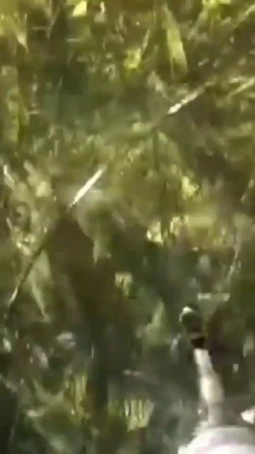 закинули сеть под водой😳 Подводной съёмки #хочуврек #рыбалка смотреть онлайн