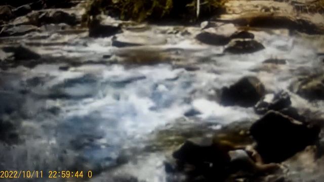 Сафар и Уралочка -банковская накопительная система видео . смотреть онлайн