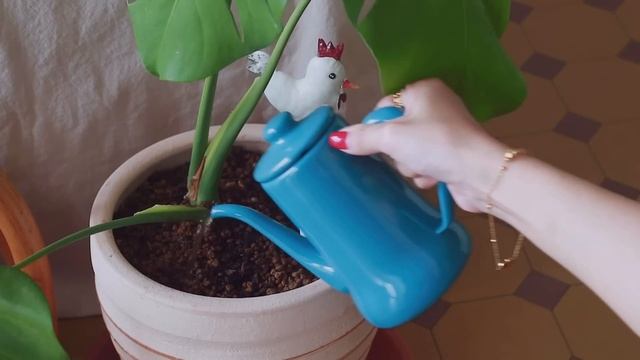 本格的な春が始まった暖かい部屋で快適に過ごす春の小さな習慣 смотреть онлайн