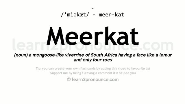 Pronunciation of Meerkat | Definition of Meerkat смотреть онлайн