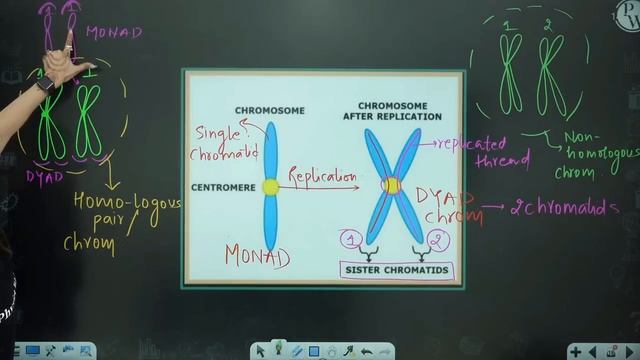 Cell : The Unit of Life 06 || Nucleus || Chromosomes || Microbodies || Class 11/NEET || RAFTAAR смотреть онлайн