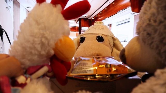 24 ЧАСА В ДВИЖУЩЕМСЯ ГРУЗОВИКЕ V.I.P. ЧЕЛЛЕНДЖ ! смотреть онлайн