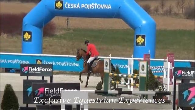 177 Sh, 7 yo 130 jumper, 马销售 , Лошади на продажу смотреть онлайн