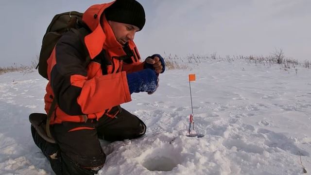 Вечерний ВЫХОД щуки. СРАБОТКА за СРАБОТКОЙ! Флажки горят катушки ВИЗЖАТ! Рыбалка на жерлицы в марте. смотреть онлайн