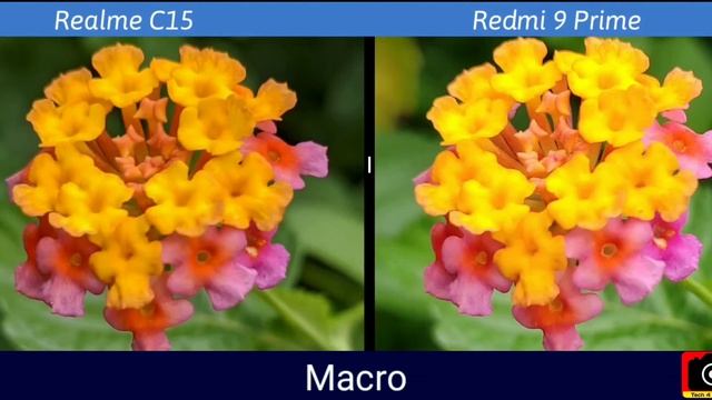 Realme C15 VS Redmi 9 Prime Camera Comparison | Realme C15 Camera Review | Tech 4 Camera смотреть онлайн