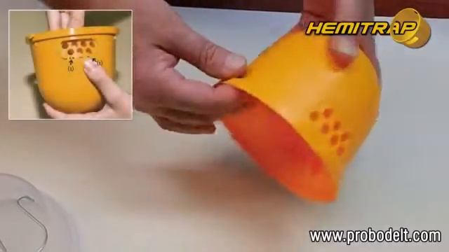 Tutorial Hemitrap смотреть онлайн