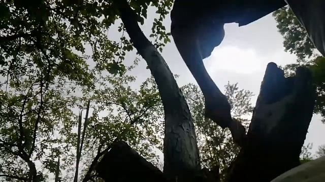 Трудовая практика | день 3| смотреть онлайн