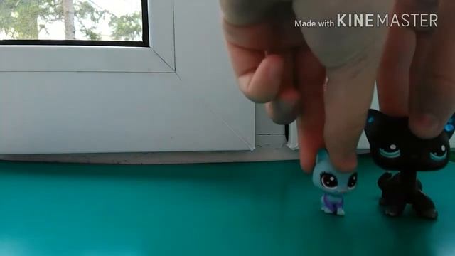 Коты-Воители 1 серия смотреть онлайн