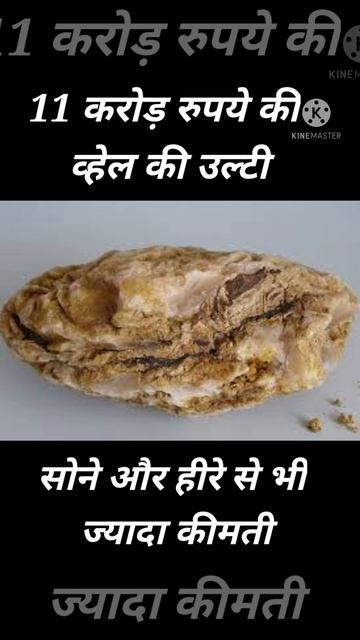 why whale vomit's Worth More than gold🔥🔥 ।। why is Ambergris so expensive? 11 करोड़ की उल्टी 🔥🔥 смотреть онлайн