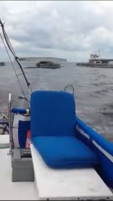 Alligator Bridge Closing смотреть онлайн