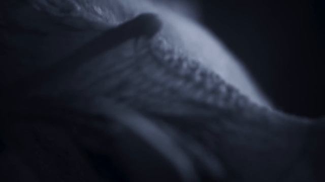 Explosions in the Sky - "Nightfall" смотреть онлайн