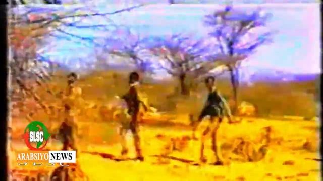 WARAYS I Gudo-galkii SNM Ee Hargeysa | Muj Xasan Ganey | Qaybtii 2aad смотреть онлайн