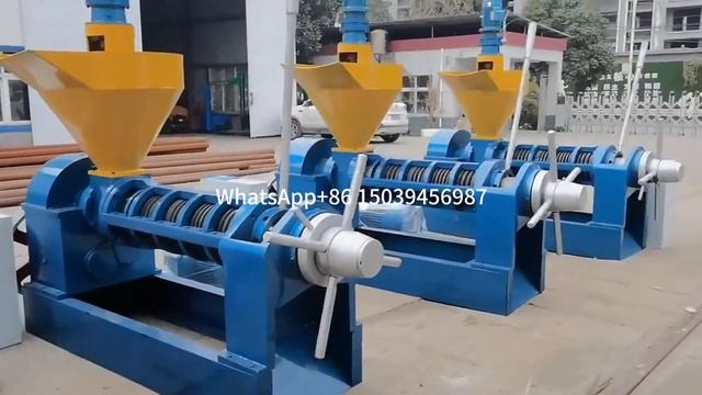 6YL-200 large screw oil press 25 tons per day cottonseed and sunflower seed oil pressing equipment смотреть онлайн