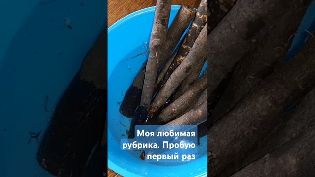 Моя любимая рубрика. Пробую первый раз #рецепт #готовимдома #еда #скорцонера #shorts #cooking смотреть онлайн