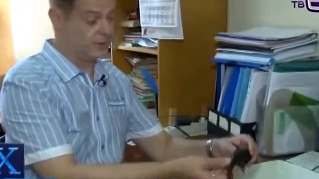 Рыба мутант смотреть онлайн