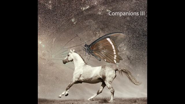 Natura Poetica MP4 смотреть онлайн