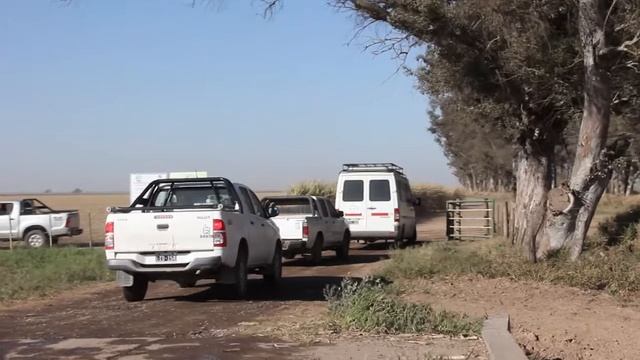 SIEMBRA Y COSECHA TV: Cosecha de caña en verde смотреть онлайн