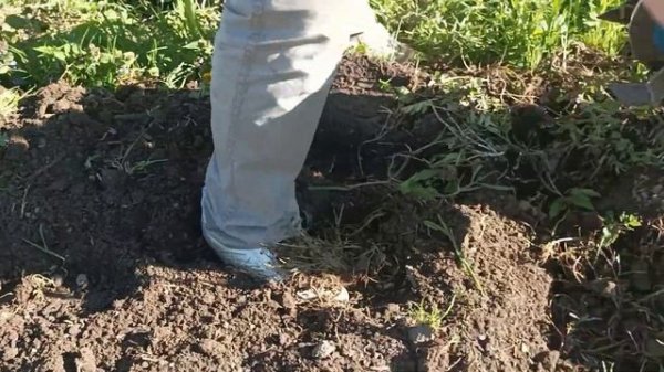 Аккумуляторный культиватор - оптимизация эффективности