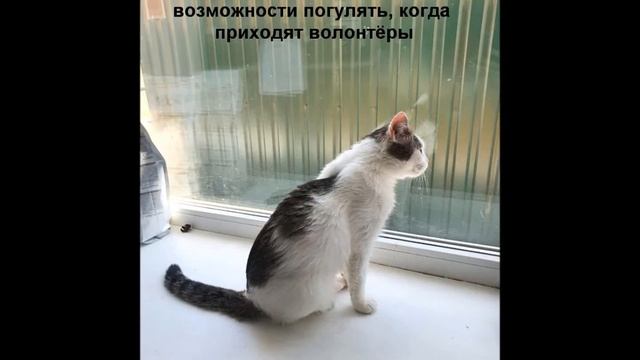 Урсула смотреть онлайн