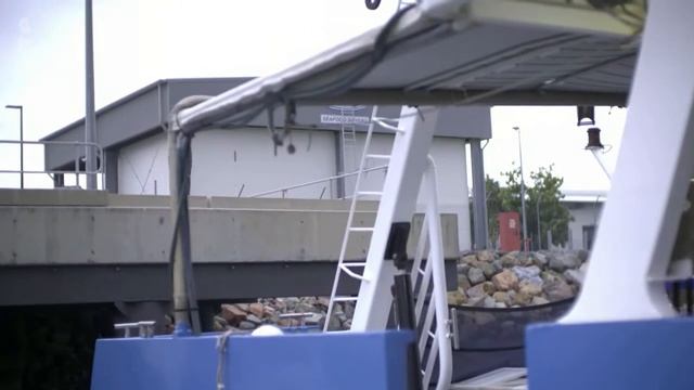 Die Rettung der Korallen Doku (2019) смотреть онлайн