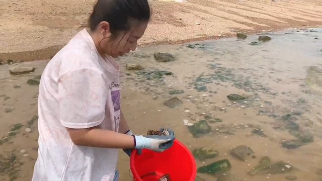 天氣多變沙灘上超大毛蛤蜊大氾濫，牛牛來趕海撿到手軟，過癮【牛牛趕海海鮮】 смотреть онлайн