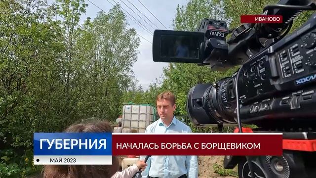 В Иванове началась борьба с борщевиком смотреть онлайн