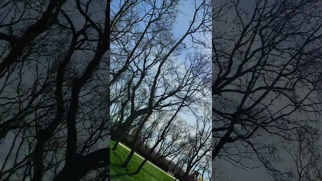 Парк МОЛОДЁЖНЫЙ и дельфины смотреть онлайн