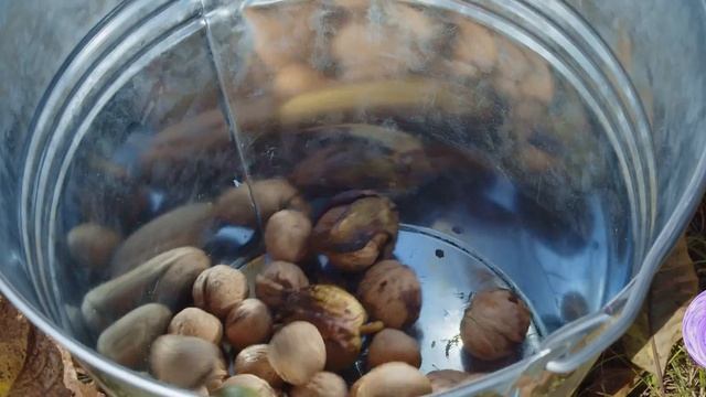 Lollipops - Moldova #LollipopsMD #Moldova