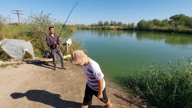 8000 та лакка бокиш бизнеси. Afrika Laqqa Boqish Biznesi.