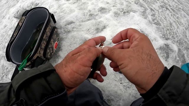 ВЫСТАВИЛ ЖЕРЛИЦЫ на ПРУДУ и УСПЕШНО закрыл ЗИМНИЙ СЕЗОН! Ловля плотвы на мормышку. РЫБАЛКА на ЖИВЦА! смотреть онлайн