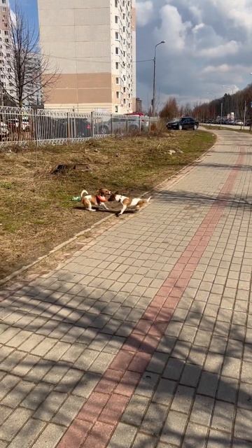 Когда батя загулял 😅 смотреть онлайн