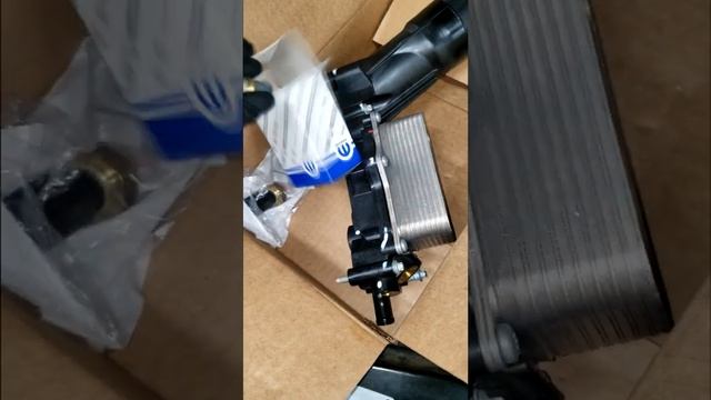 We using the OEM Mopar Revised Oil Filter Adapter Housing to fix this car. #shorts #youtubemechanic смотреть онлайн