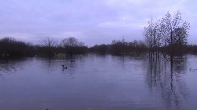 Весенняя охота с подсадными утками.2023г(Часть2) смотреть онлайн