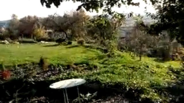 Панорама сада-1 смотреть онлайн