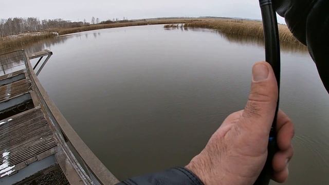 Такого трофея я здесь не ожидал увидеть... Ловля хищника на спиннинг. Рыбалка 2020. смотреть онлайн