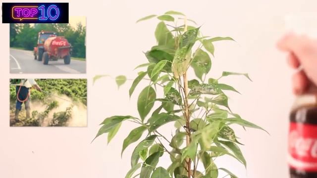 ТОП 10 ЛАЙФХАКОВ С COCA COLA смотреть онлайн