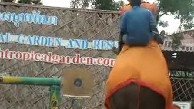 Nong Nouch Tropical Garden - Pattaya (8) смотреть онлайн