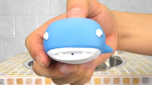 한국어ㅣ우리집 세면대 밑에 해양 동물이 산다 3, 해양동물 이름 외우기, 컬렉타ㅣ꼬꼬스토이